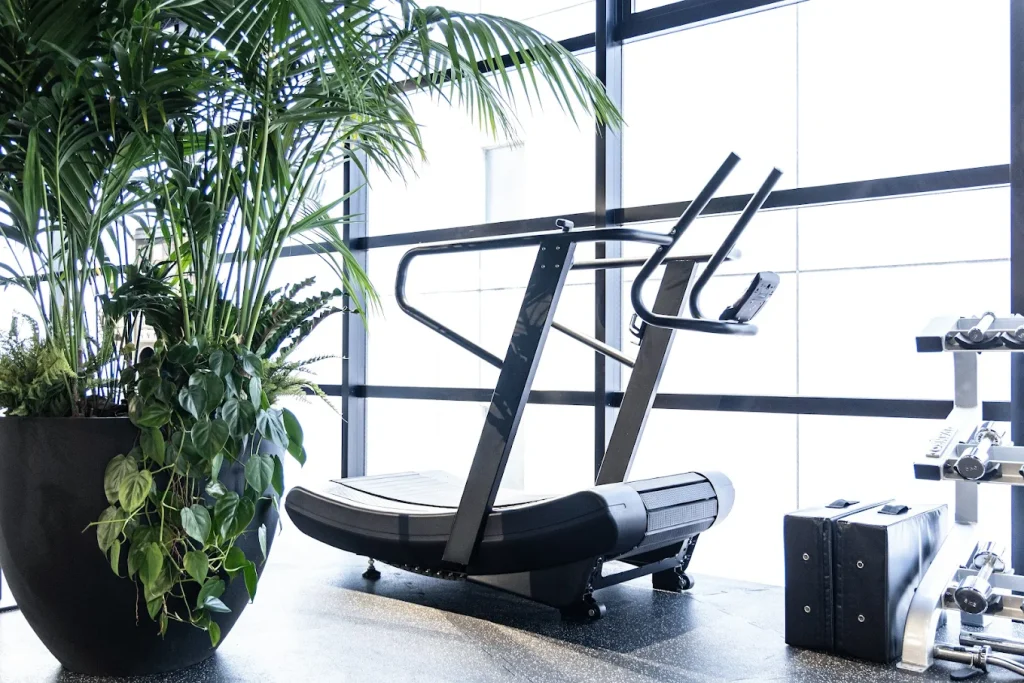 渋谷のパーソナルトレーニングジム「Dee GYM」